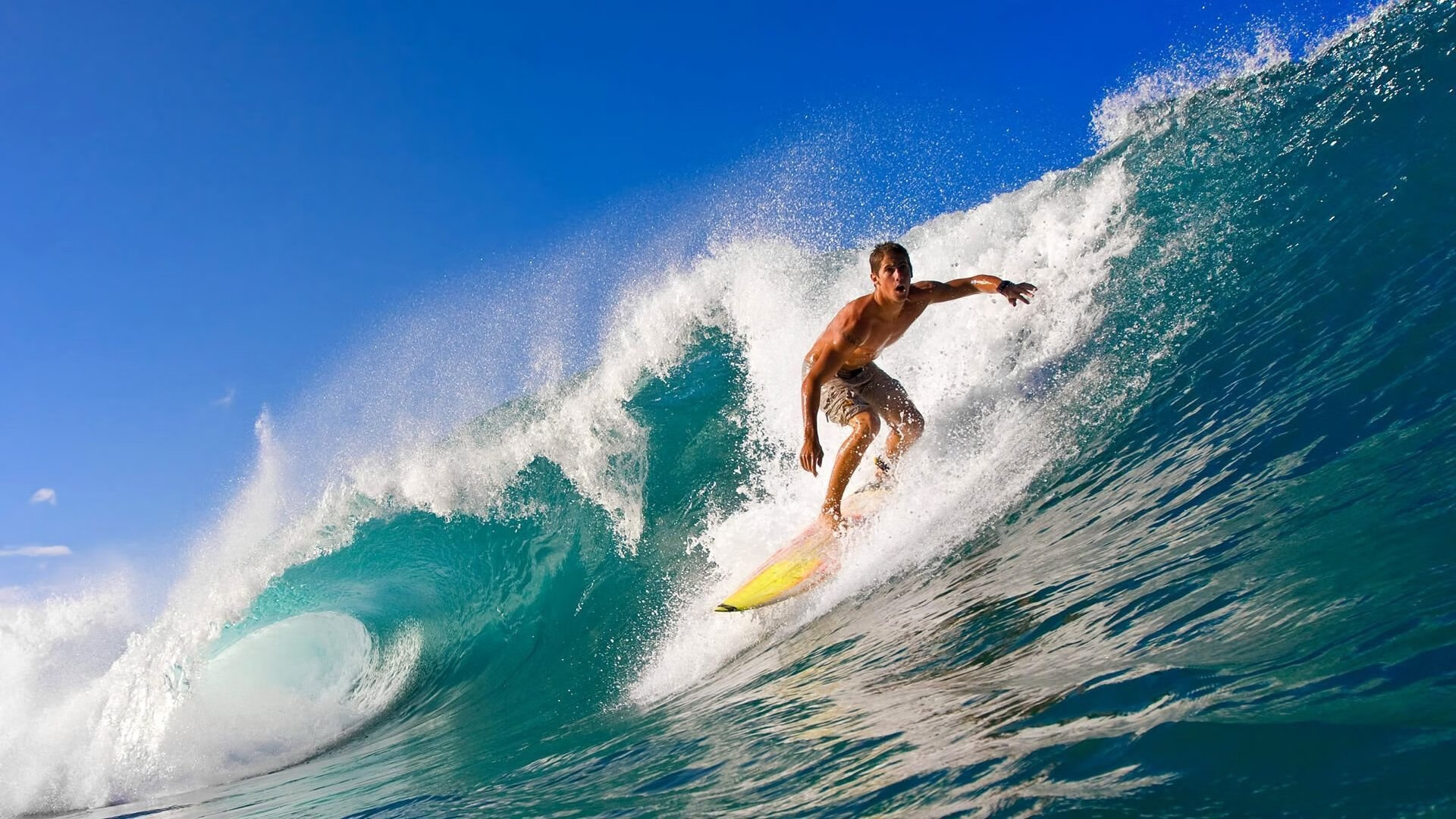 苏格兰橄榄球的市场潜力无限，商业化步伐加快，苏格兰橄榄球队